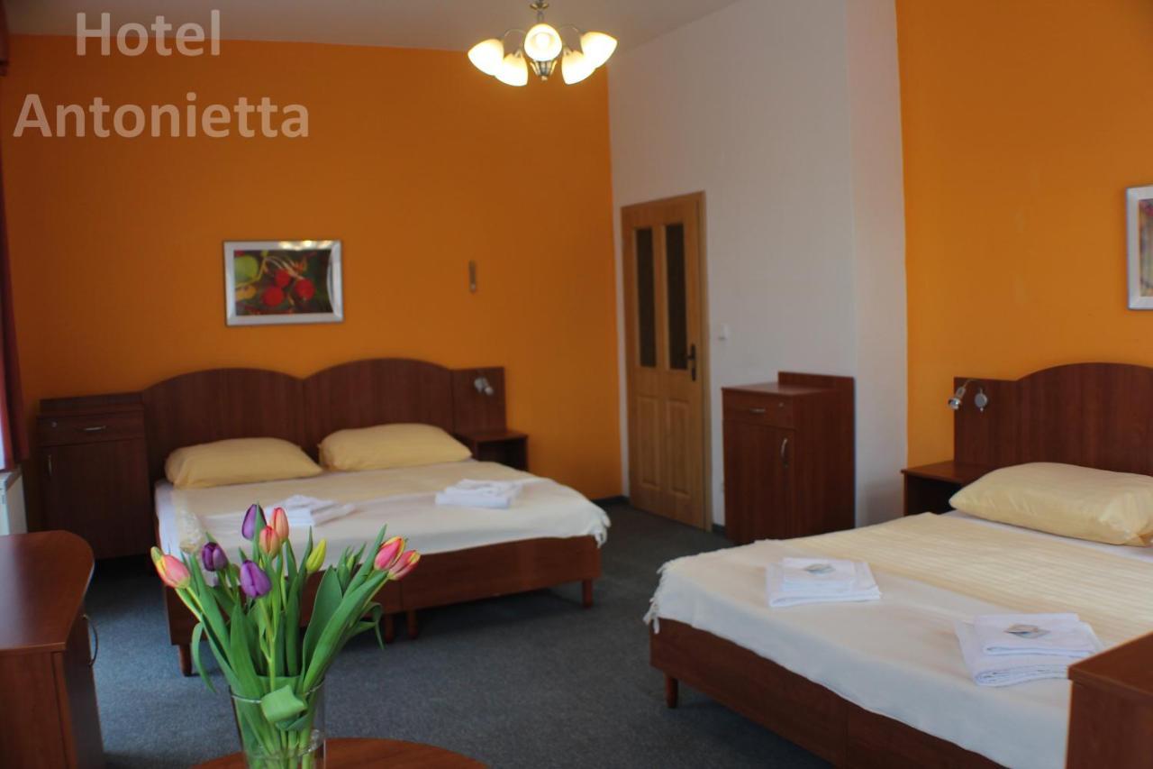Hotel Antonietta Teplice Dış mekan fotoğraf