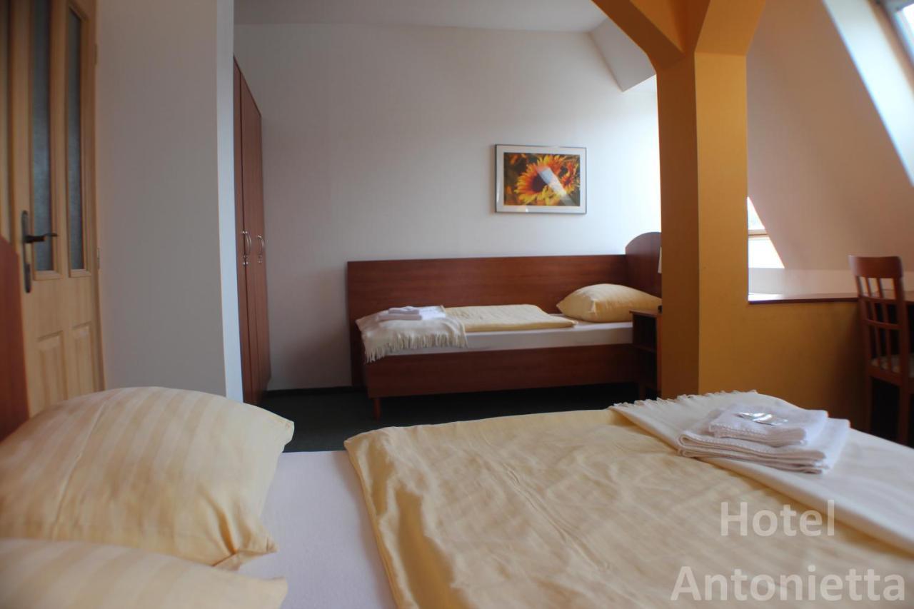Hotel Antonietta Teplice Oda fotoğraf